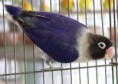 /album/fotogaleria/a83689-400-jpg/
